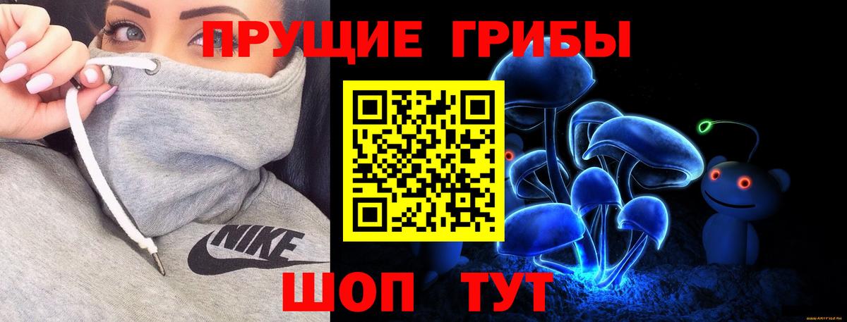 Псилоцибиновые грибы прущие грибы  Псилоцибиновые грибы MAGIC MUSHROOMS  цена   Вход с VPN  Белая Калитва 